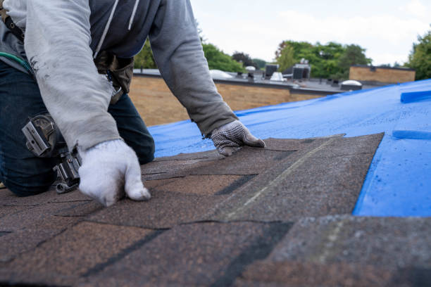 Best Roof Repair Services  in Ackerman, MS