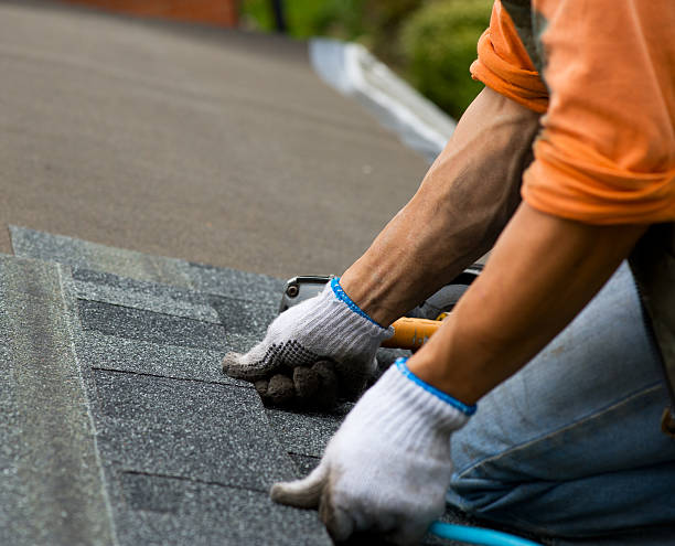 Best New Roof Installation  in Ackerman, MS