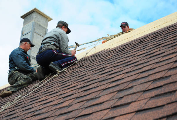 Best Flat Roof Repair Services  in Ackerman, MS