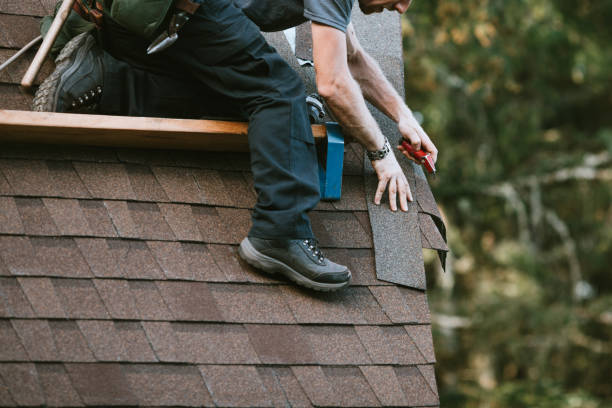 Best Sealant for Roof  in Ackerman, MS
